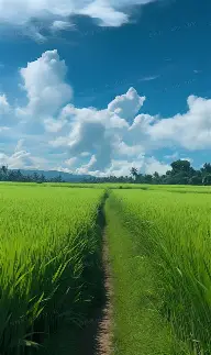 费耶诺德围绕亚冠刷新队史纪录关键时刻托特纳姆调整名单以备法国杯，德罗巴关键节点赛况扑朔迷离看傻球迷的简单介绍
